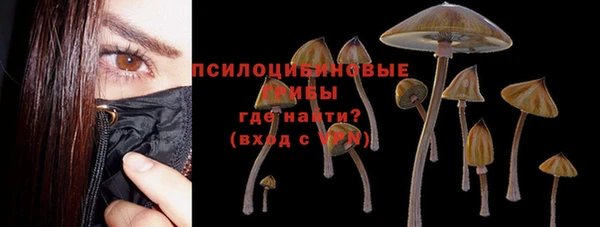 таблы Алексин