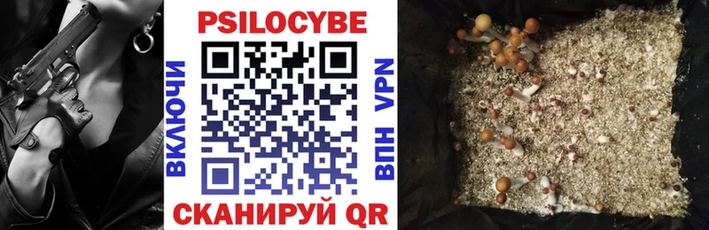 Псилоцибиновые грибы GOLDEN TEACHER  маркетплейс как зайти  Данков  хочу наркоту 