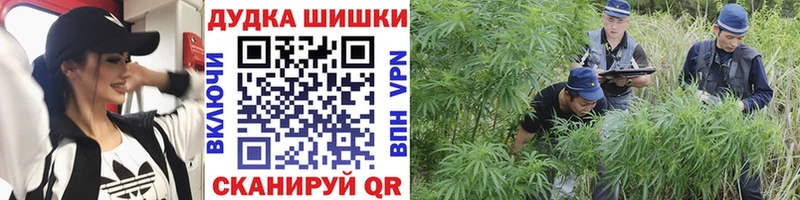 мега маркетплейс  Данков  Шишки марихуана Amnesia 